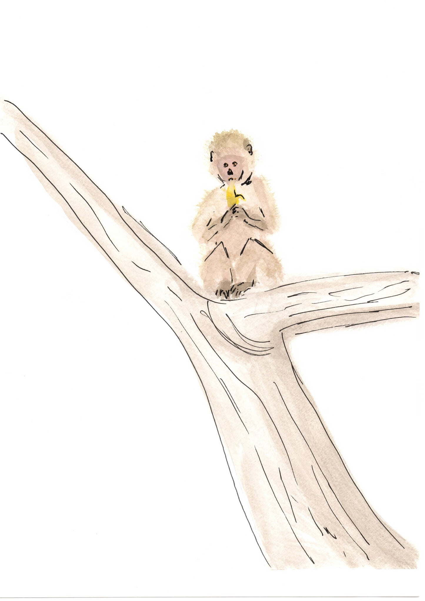Day 18 - A monkey up a tree eating a banana
