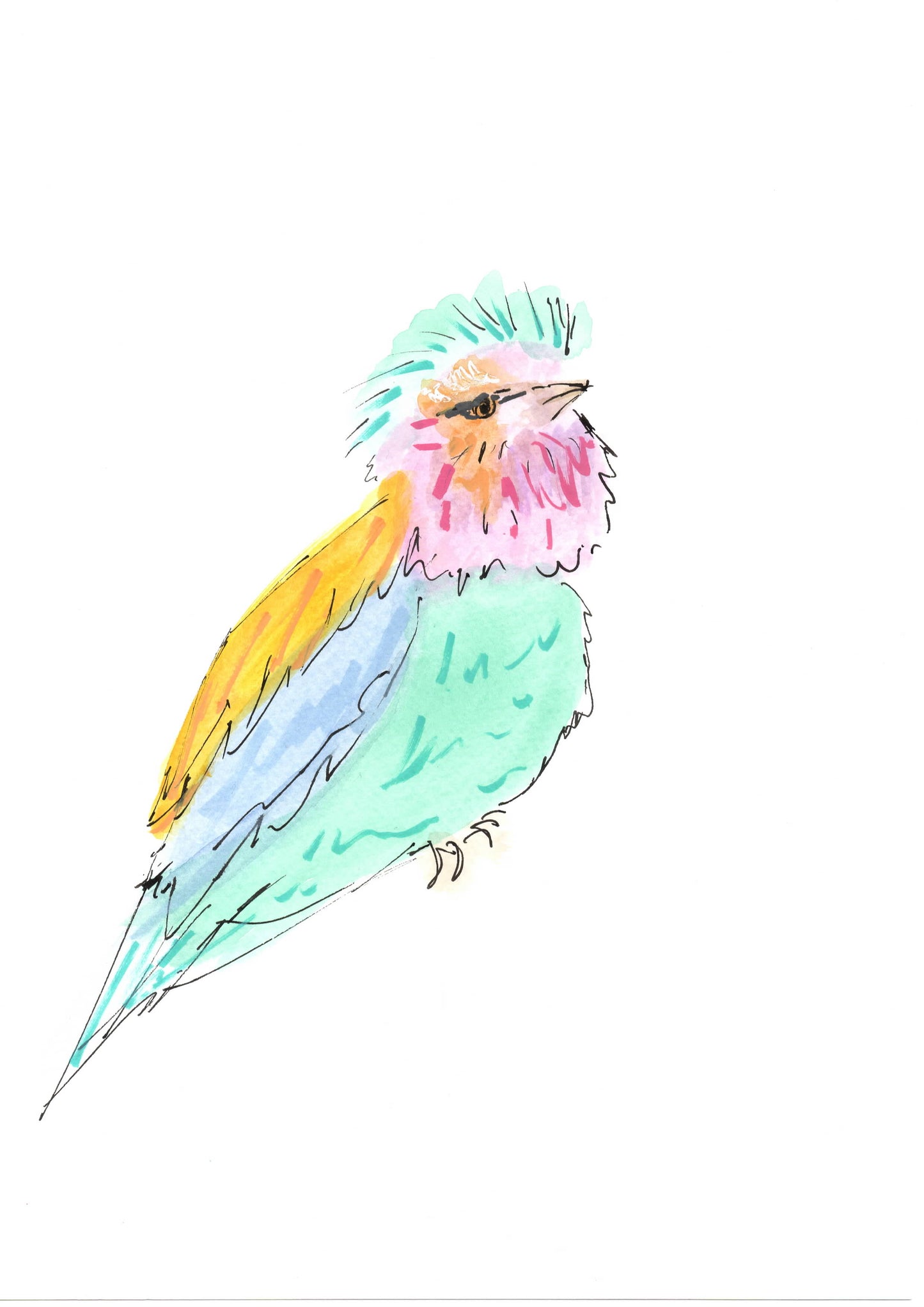 Day 19 - Bird