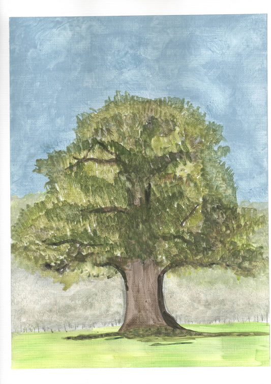 Day 5 - A British Tree