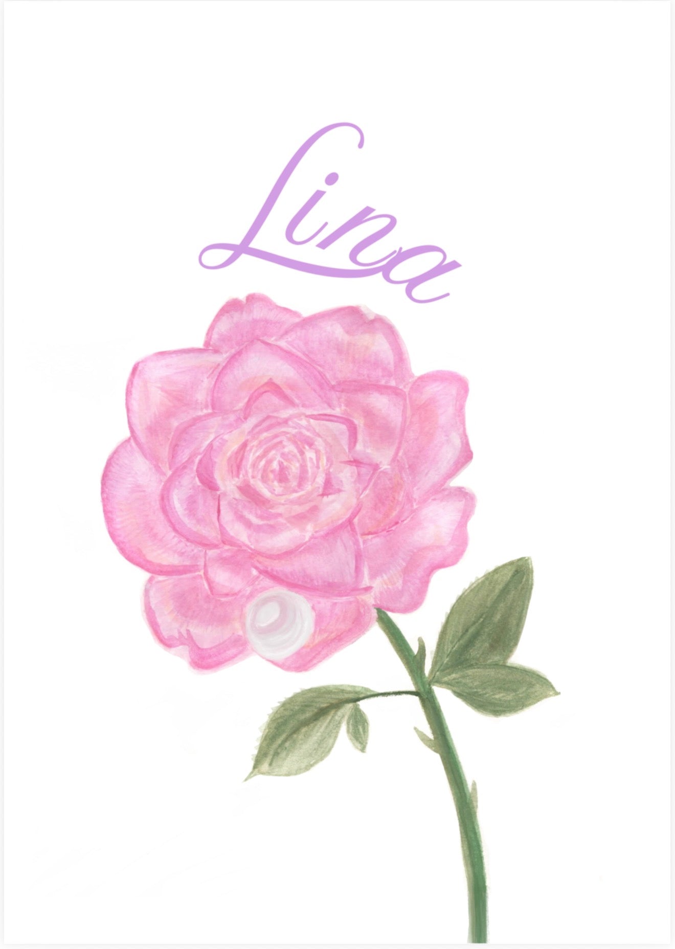 Birth Flower & Stone prints